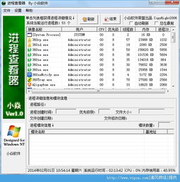 小焱進程查看器 v1.0 綠色版 高效系統進程查詢軟件